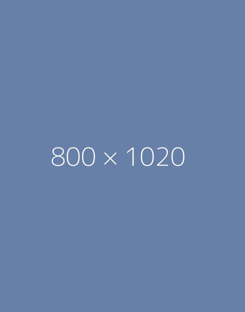 hongo 800×1020-a-ph